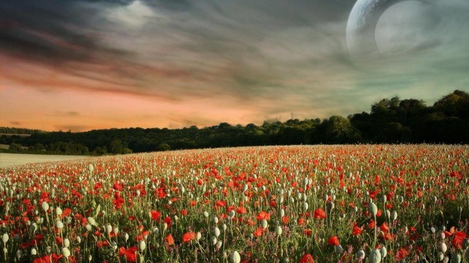 正确使用电子血压计应注意哪些问题?